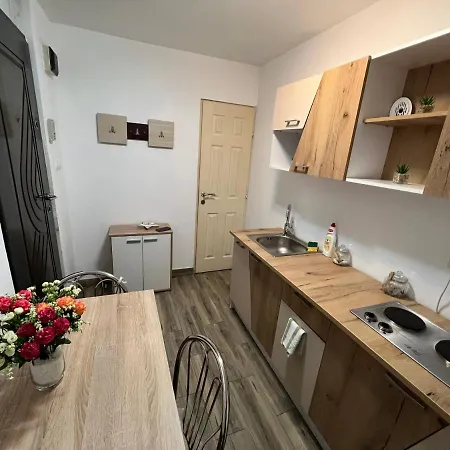 Apartment Apartament Unirii Timisoara
